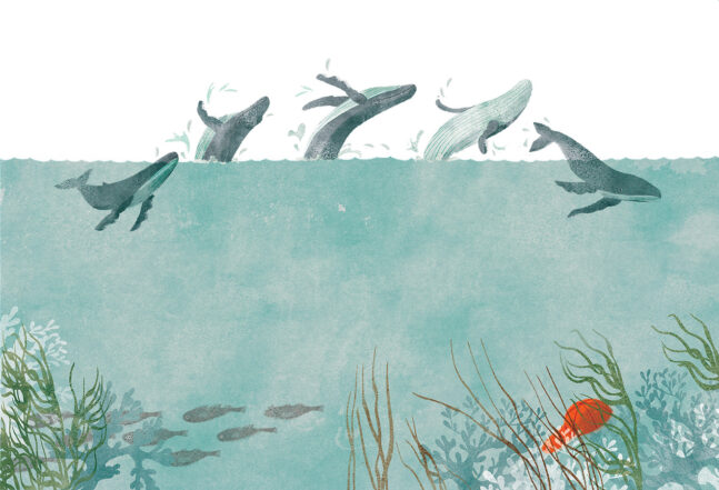 Kinderbuch Illustration Wale