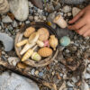 Holz Figuren Fauna Pflanzen Fantasie Kinder