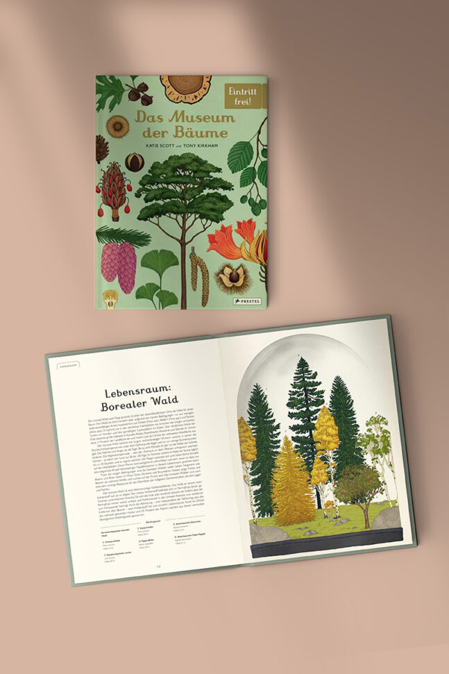 Buch Bäume Wälder Erde Reise Wissen