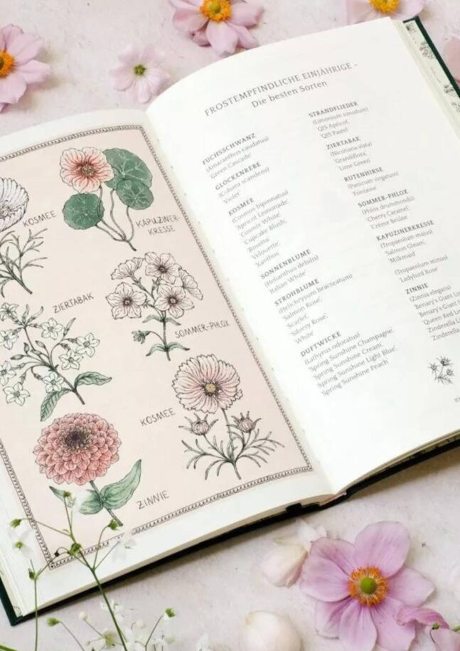 Jora Dahl, Suhrkamp Verlag, Flower Notes