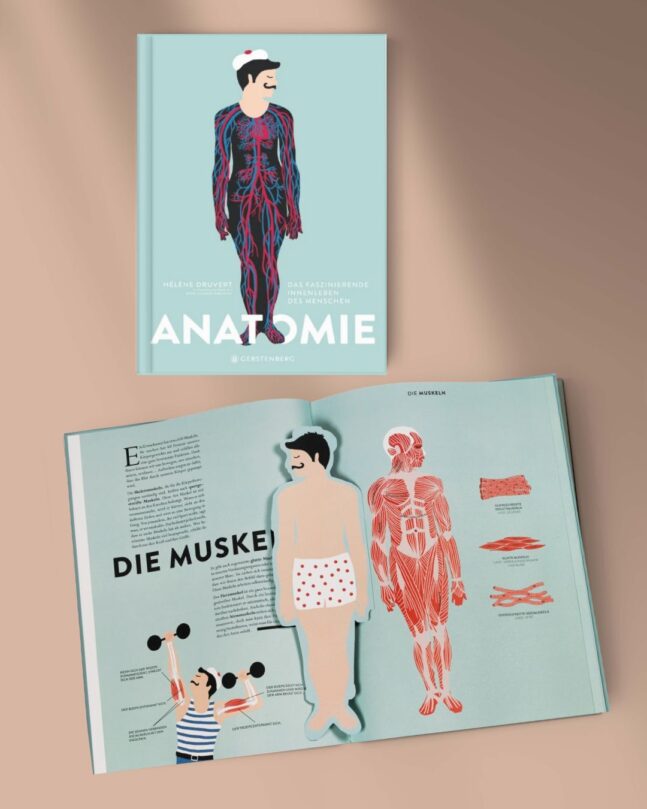 Bilderbuch Anatomie, Hélène und Jean-Claude Druvert, Gerstenberg Verlag