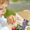 Little girl with ladybird in the park