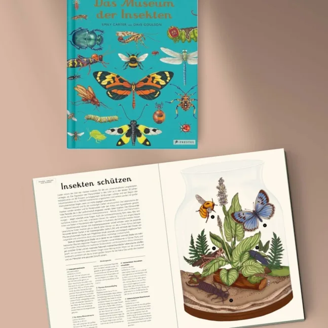 Bilderbuch Das Museum der Insekten