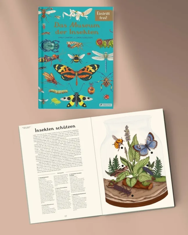 Bilderbuch Das Museum der Insekten