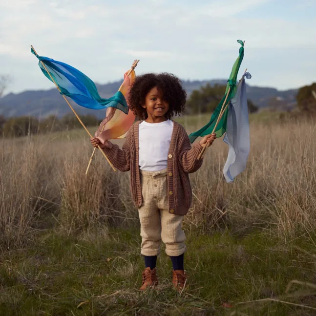 Mini.Earth.Play.Silk