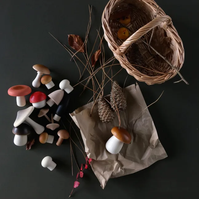 Waldpilz-Korb von Moon Picnic von Moon Picnic