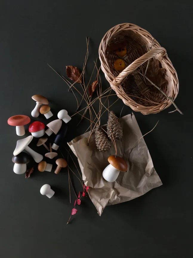 Waldpilz-Korb von Moon Picnic von Moon Picnic